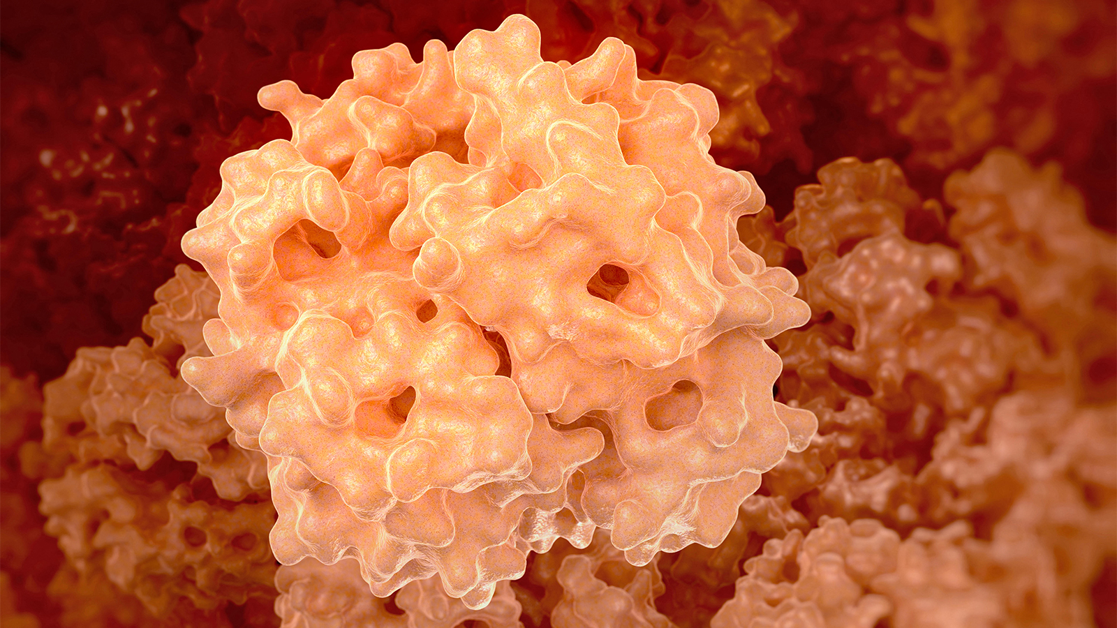 Borderline Anemia Linked to Higher Mortality Risk