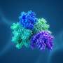 AI reveals new class of cellular 'off switch' linked to cancer pathways
