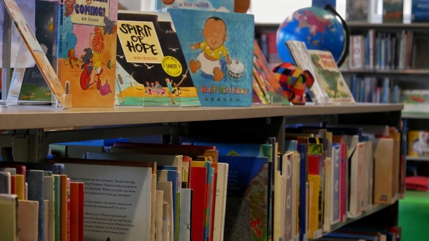 Push to save teacher-librarians as student reading levels decline