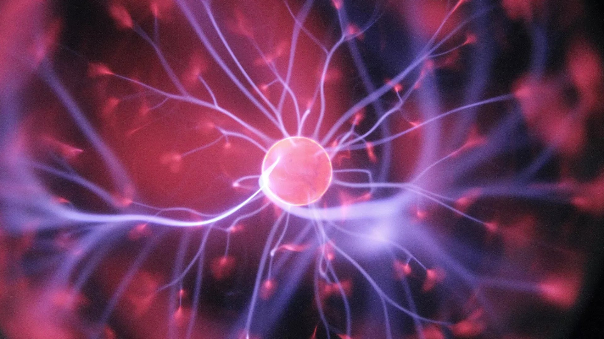 Researchers discover new brain repair mechanism involving astrocytes