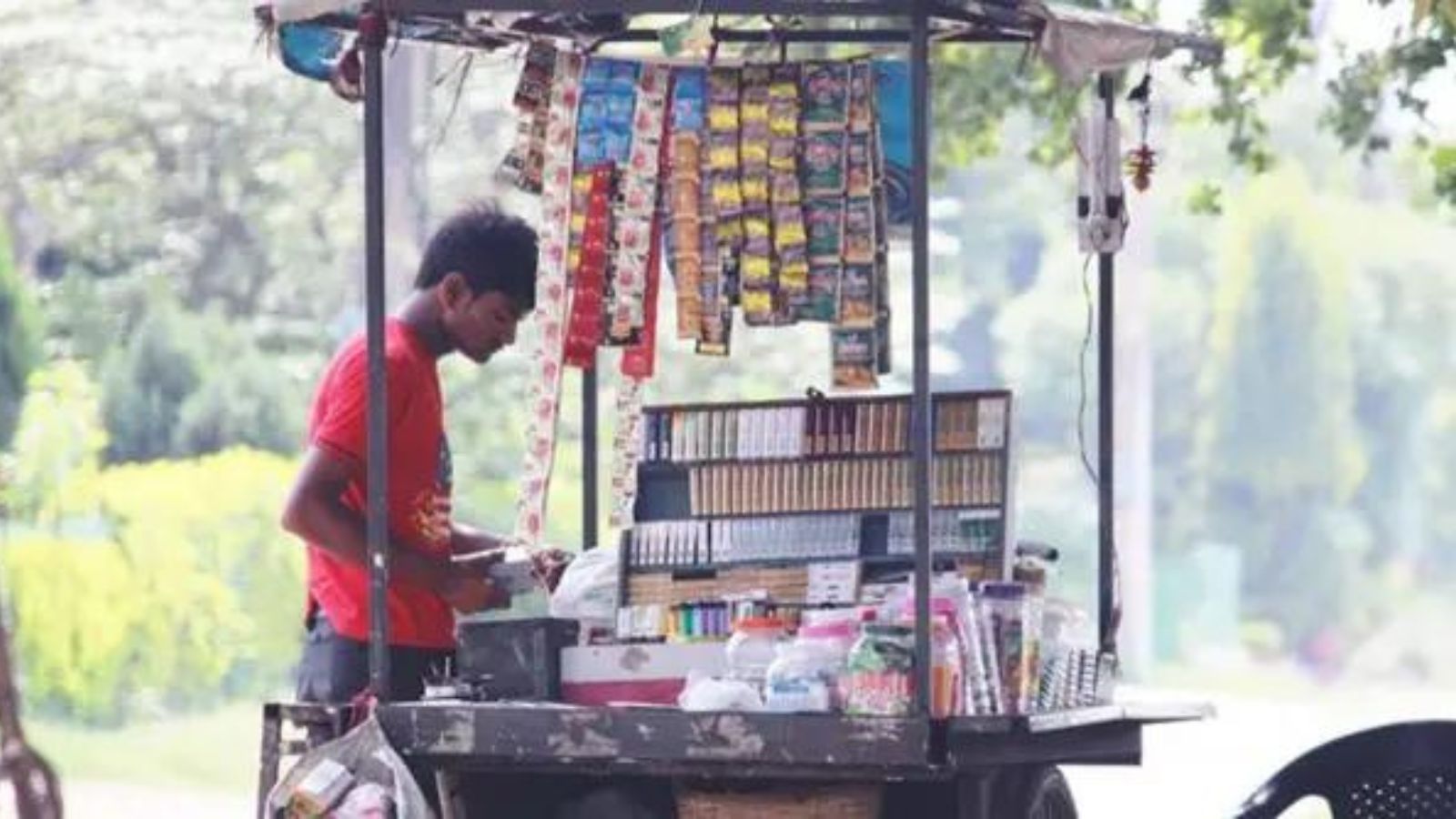 Karnataka bans sale of gutka, pan masala, some tobacco products for a year
