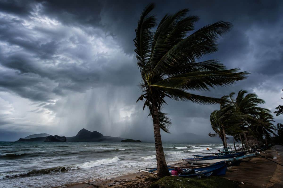 Tropical Storm Brews in South China Sea: Flash Flood Warnings Issued