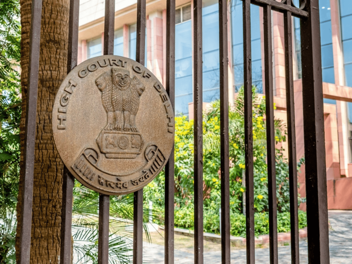 Delhi HC Says Personality Rights ‘Going Out Of Hand’, Flags Free Speech Concerns