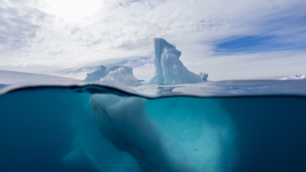 Scientists Discover More Than 1,000 Fish Nests Hiding Beneath Antarctica's Ice