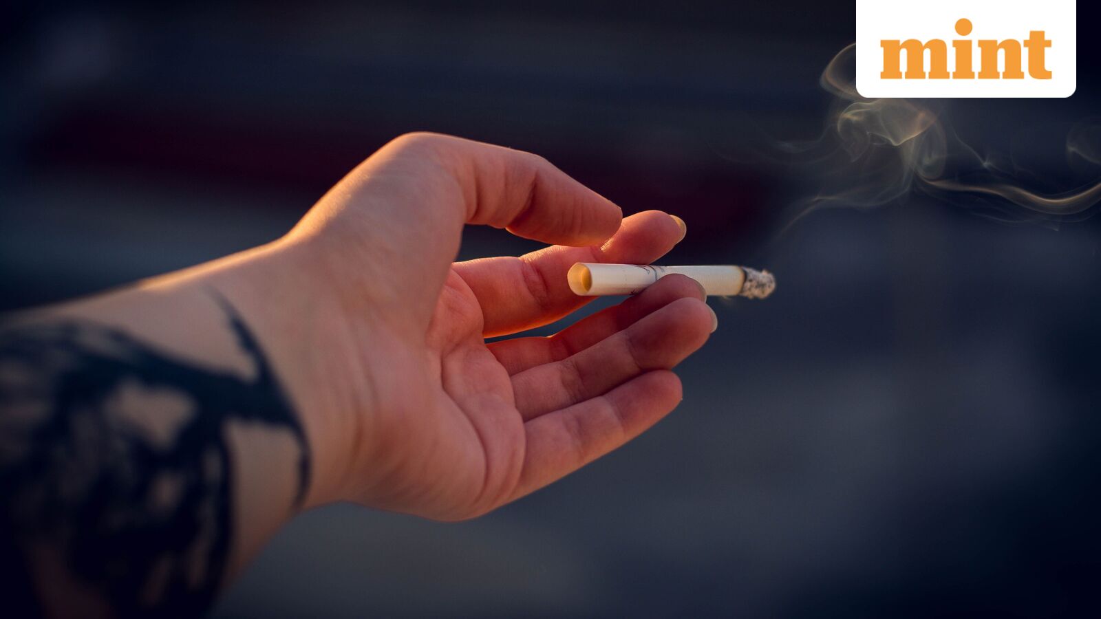 Karnataka bans tobacco, nicotine products in historic move, plans to go addiction-free