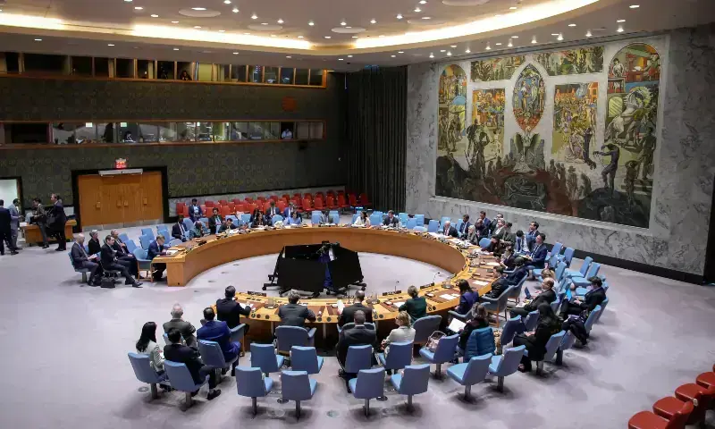 Kashmiri groups urge UN to move beyond reaffirming disputed status