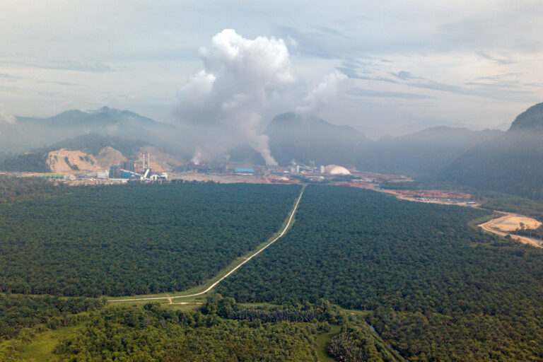 Nickel expansion puts Indonesia’s biodiversity goals under pressure, study finds