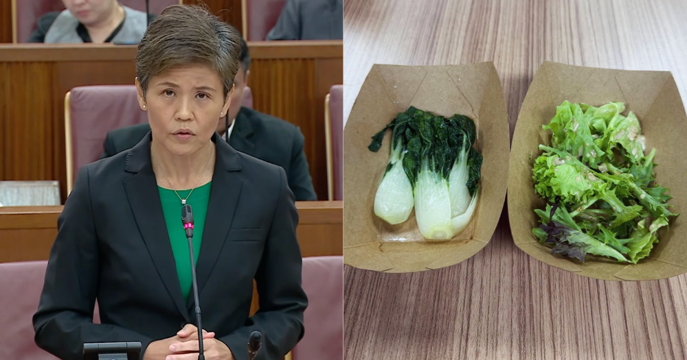 'Are we cutting ourselves too thin?': MP Poh Li San on S'pore producing less than 10% of its food