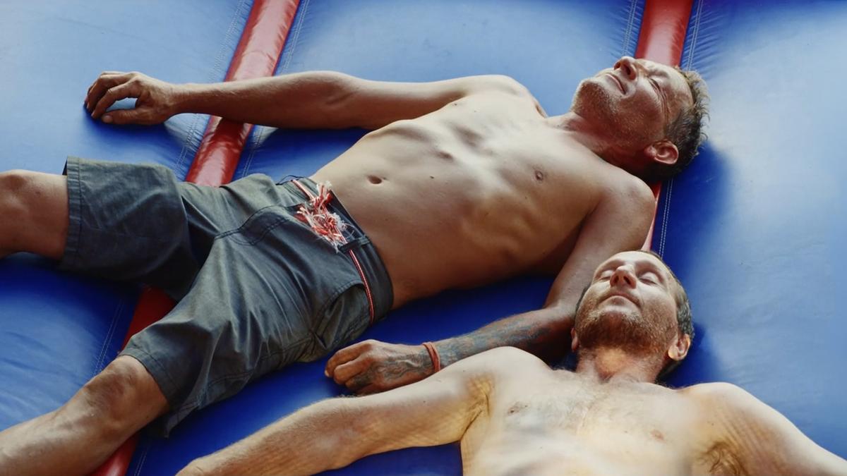 Bouncy brothers