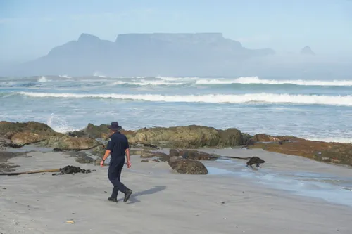 Over 100 reports later, Cape Town’s mysterious night noise explained