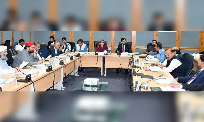 Senate panel orders FIR over Pims nursery fire