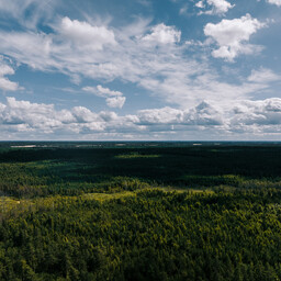 Expert: European forests at the threshold of major changes