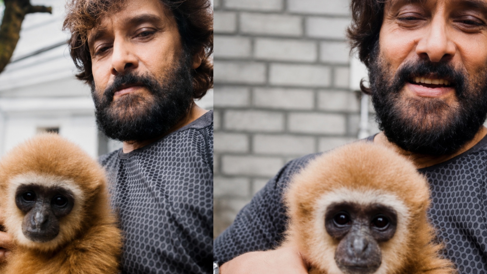 The Lar Gibbon in Chiyaan Vikram’s video is endangered—here’s why that matters