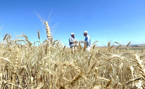 El Niño's looming threat: SADC urges proactive measures for climate-related shocks