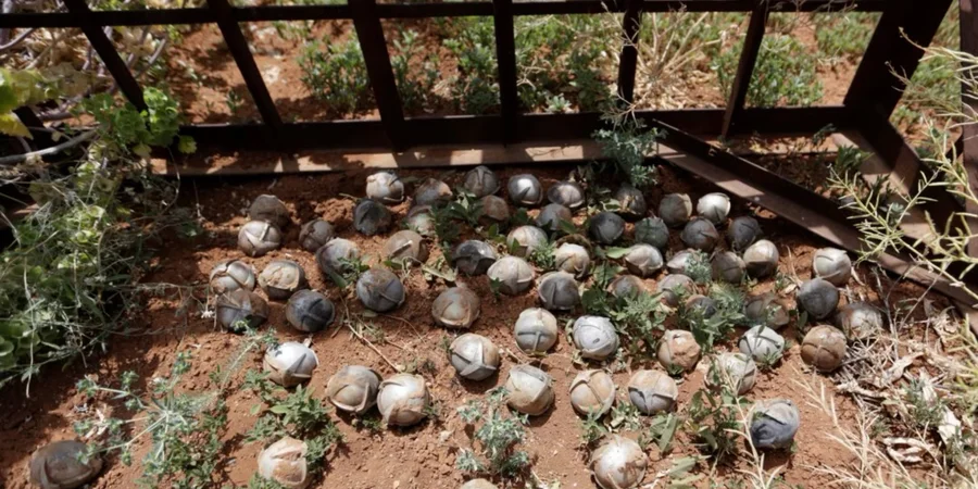 Human Rights Watch urges U.S. Congress to block transfer of Turkish cluster munitions to Ukraine