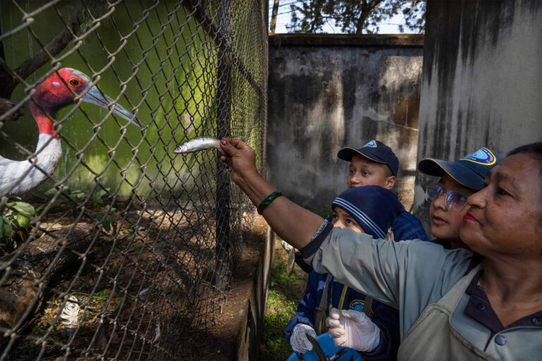 Delays, biosecurity failures worsened flu outbreak at Nepal zoo, probe finds
