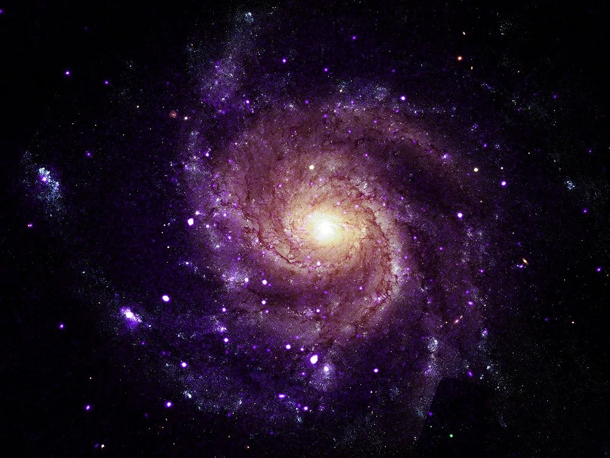NASA finds 84 mysterious objects unlike anything seen before