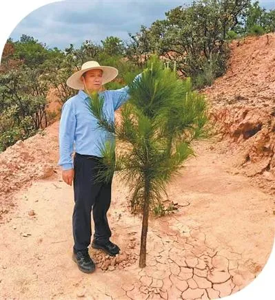 Man devotes over 40 years to afforestation in SW China's Yunnan