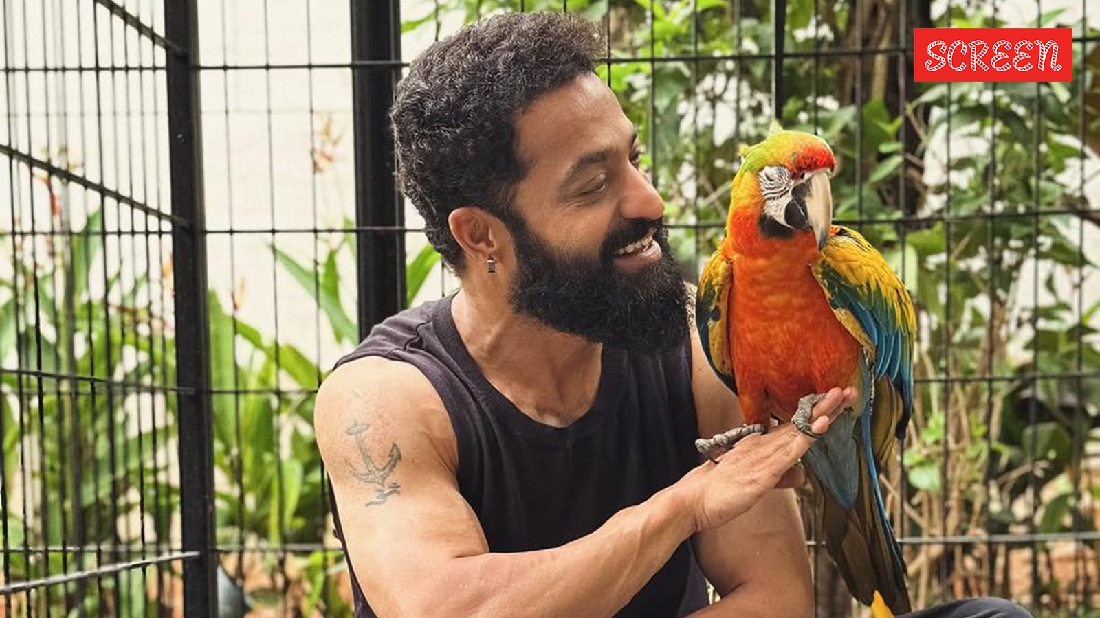Jr NTR undergoes successful shoulder surgery, set to recover in 2 to 3 months