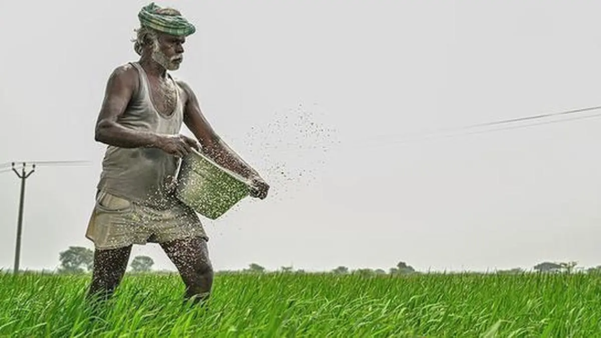 India’s fertilizer sales down in July on dipping kharif sowing area and deficient monsoon