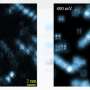 Long-sought Zhang-Rice singlet visualized directly in cuprate superconductor