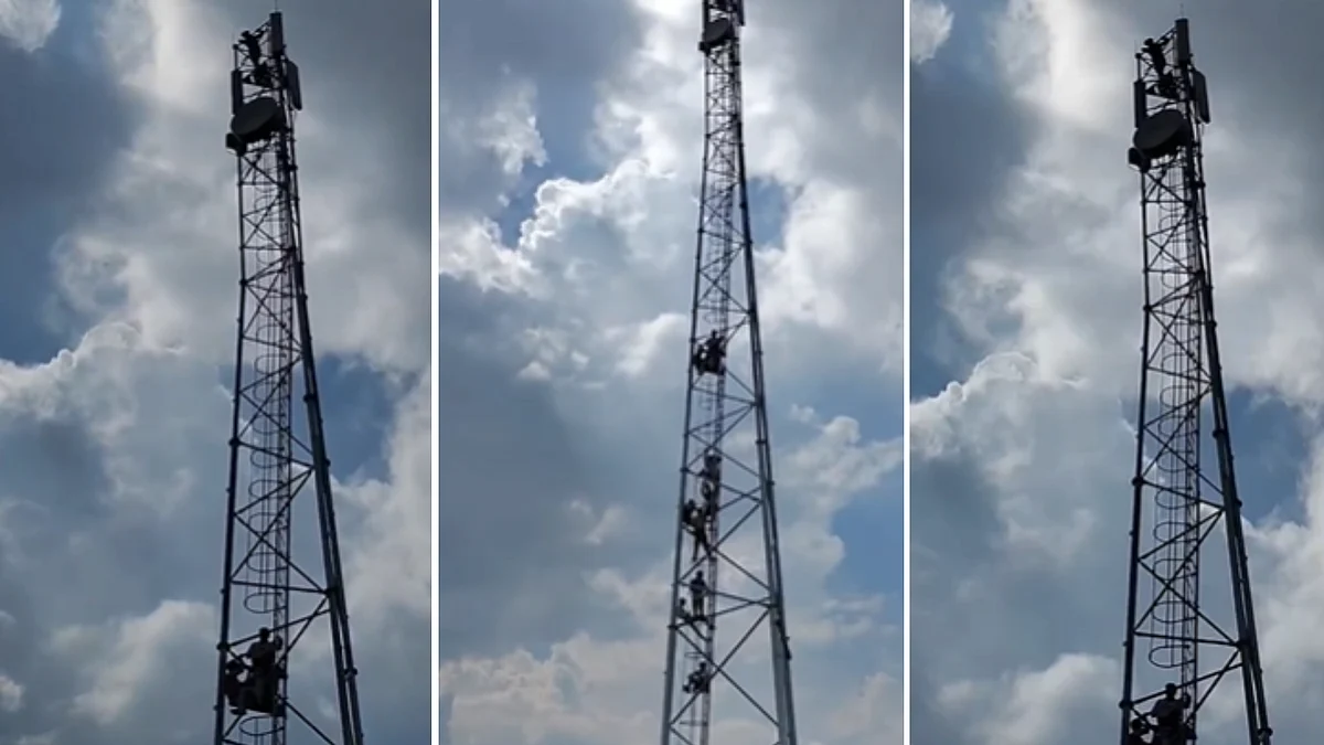 Ashoknagar Protesters Climb Mobile Tower Over Removal Of Rani Avantibai Lodhi Statue, Demand Reinstallation | VIDEO