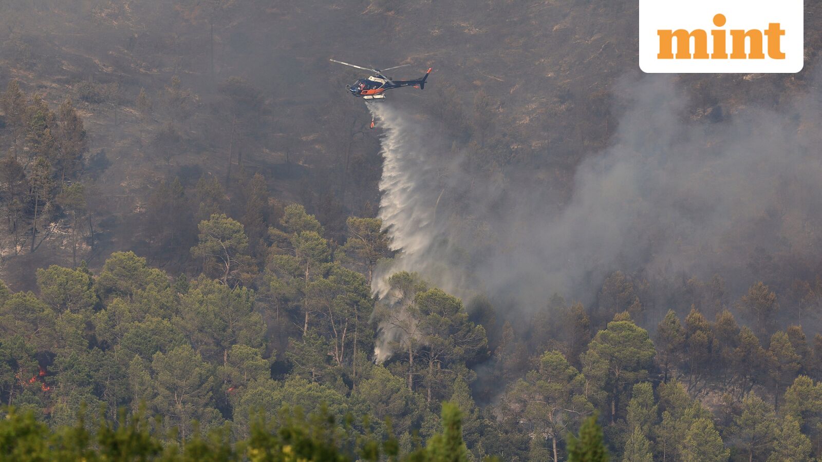 Firefighting operation turns tragic: 2 dead after choppers dousing Greek wildfires collide mid-air | Watch viral video