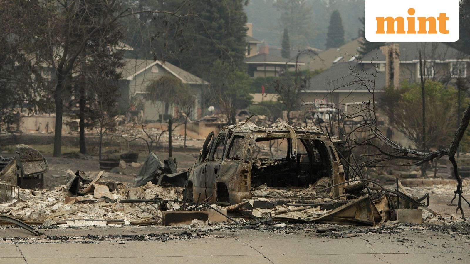 Wildfires in US' Spokane burn 600 structures, force evacuation of 60,000 people: ‘We are not out of danger’