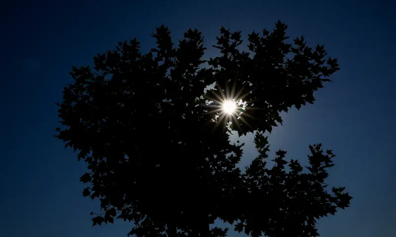 Millions of people in Iceland and Spain set for 'event of the century' eclipse