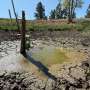 How drought is reshaping the spread of infectious diseases