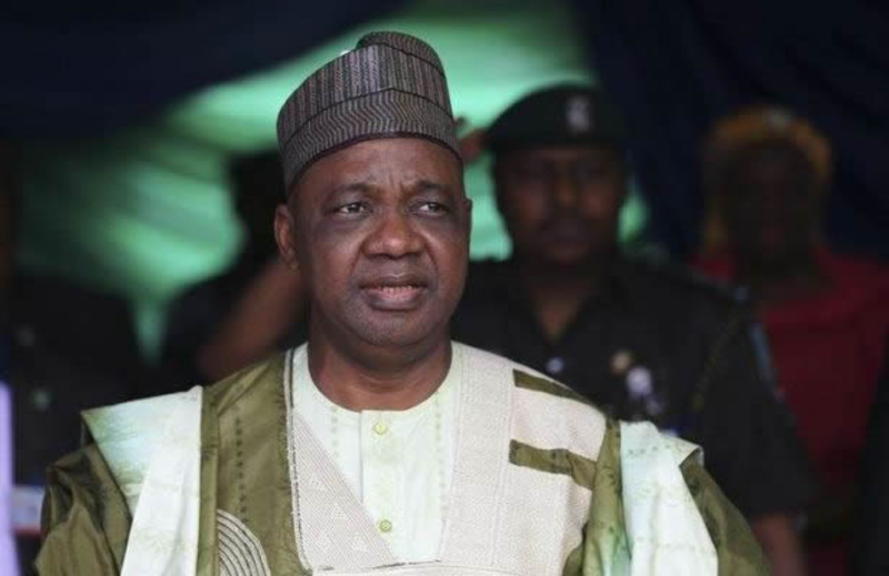 Democracy depends on strength, effectiveness of political parties – Namadi Sambo