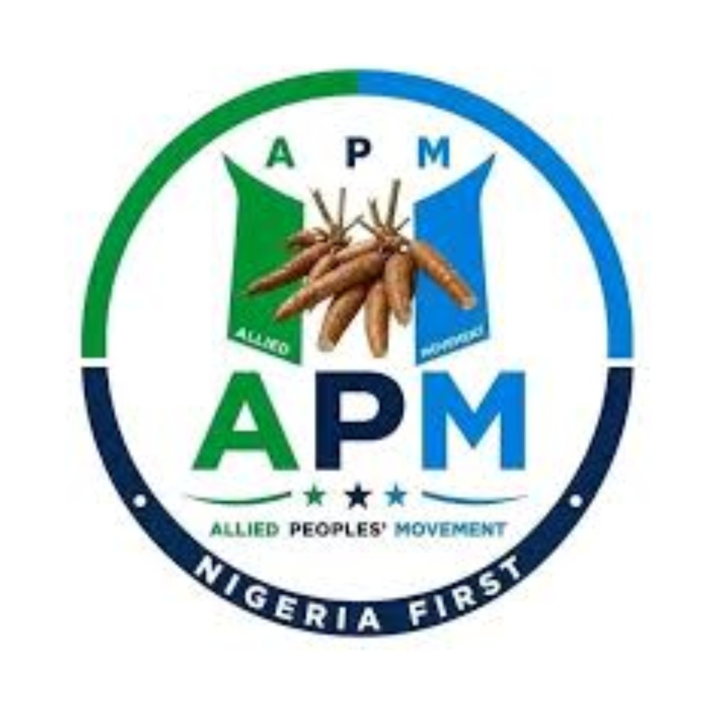 International Youth Day: You’ve been patriotic, resilient in face of challenges – APM hails Nigerian youths