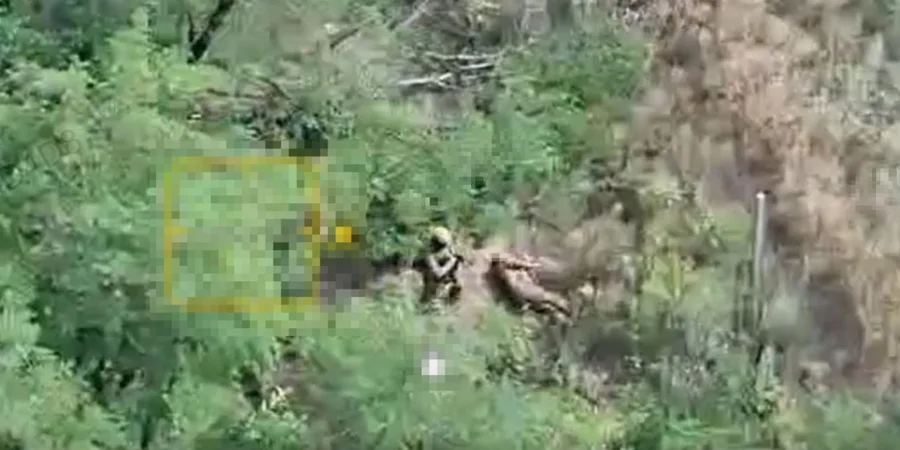 Russian troops execute two captured Ukrainian guardsmen near Dobropillia