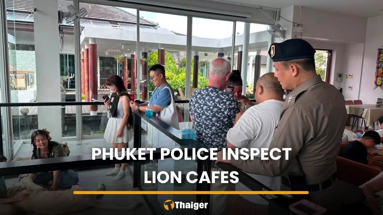 Old photo, not new attack, police clear Phuket lion cafe