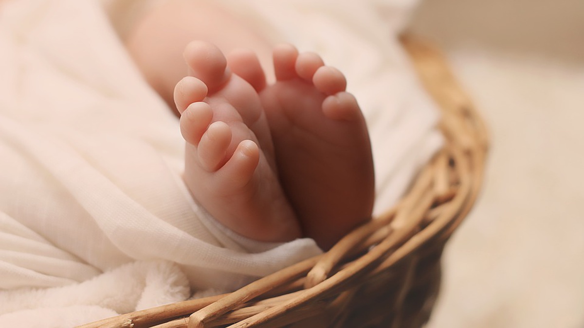 MP Kuzminykh proposes restricting certain assisted reproductive technology for foreigners
