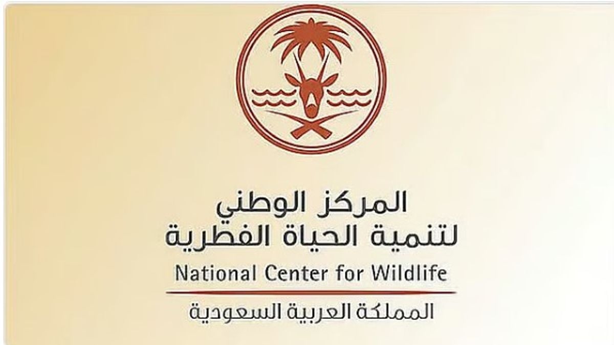 King Abdulaziz Airport aquarium awarded Saudi Arabia’s first wildlife display license