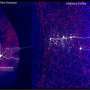 A surprising pathway that lets the striatum talk directly to the auditory cortex