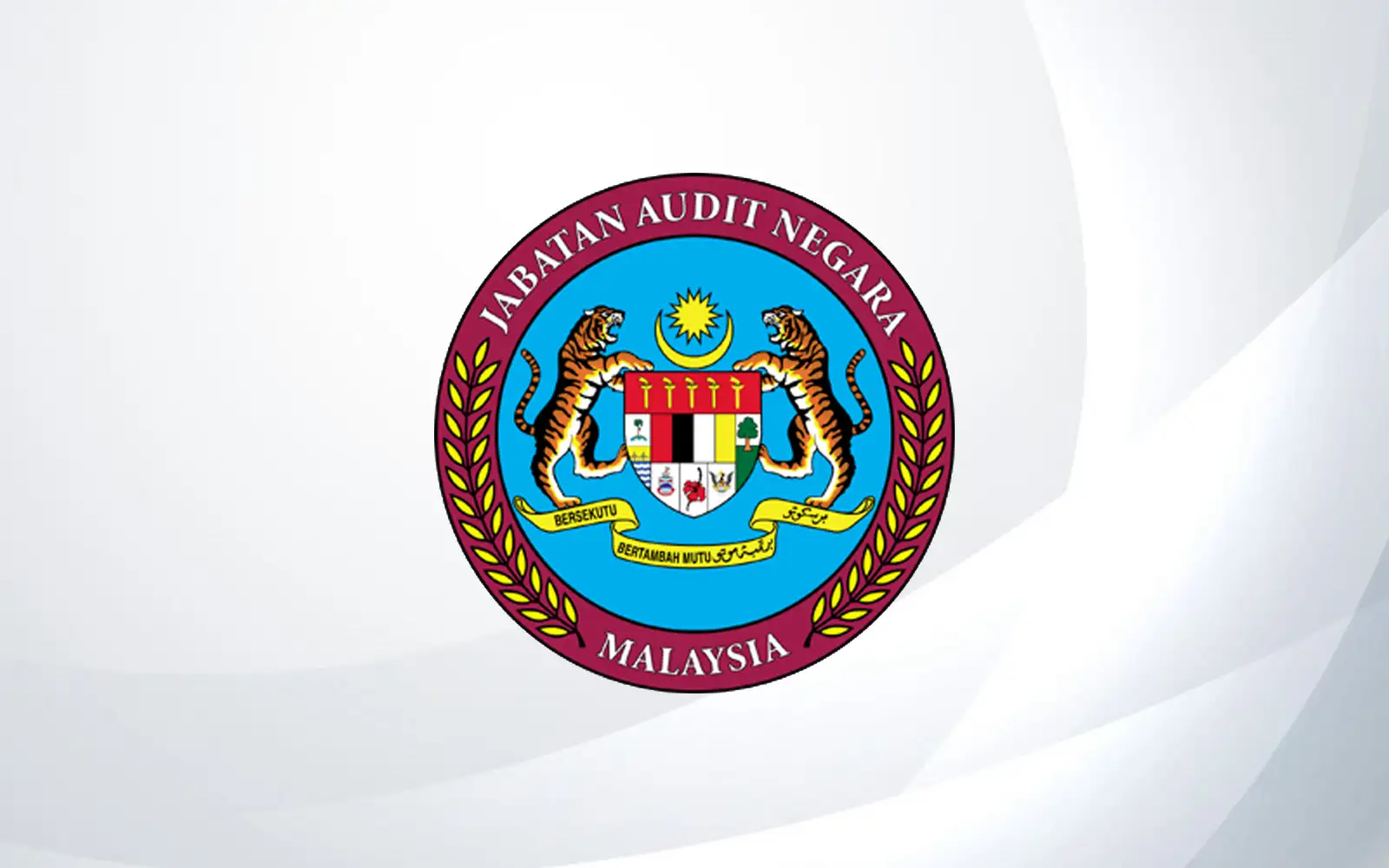 Auditor-general must be highly competent, professional, says analyst