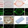 Hybrid bioprinter creates capillary networks narrower than 10 micrometers
