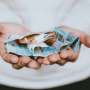 Oxytocin nudges distrustful men to invest 15% more in anonymous trust game