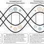 Online conflict may strengthen, not weaken, social movements, researchers find