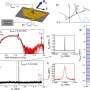 Spontaneous magnons synchronize with external signals at room temperature