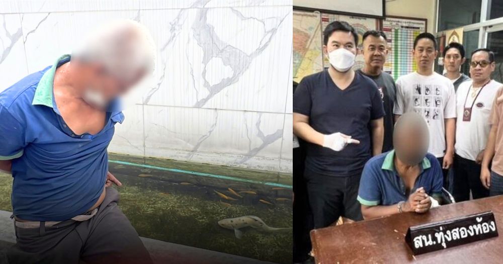 Thai man, 51, allegedly sexually assaults koi fish in Bangkok, arrested by police