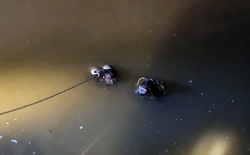 15-year-old boy drowns while swimming in river