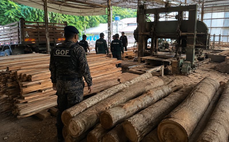 Timber, equipment worth RM640,510 seized from Terengganu sawmill