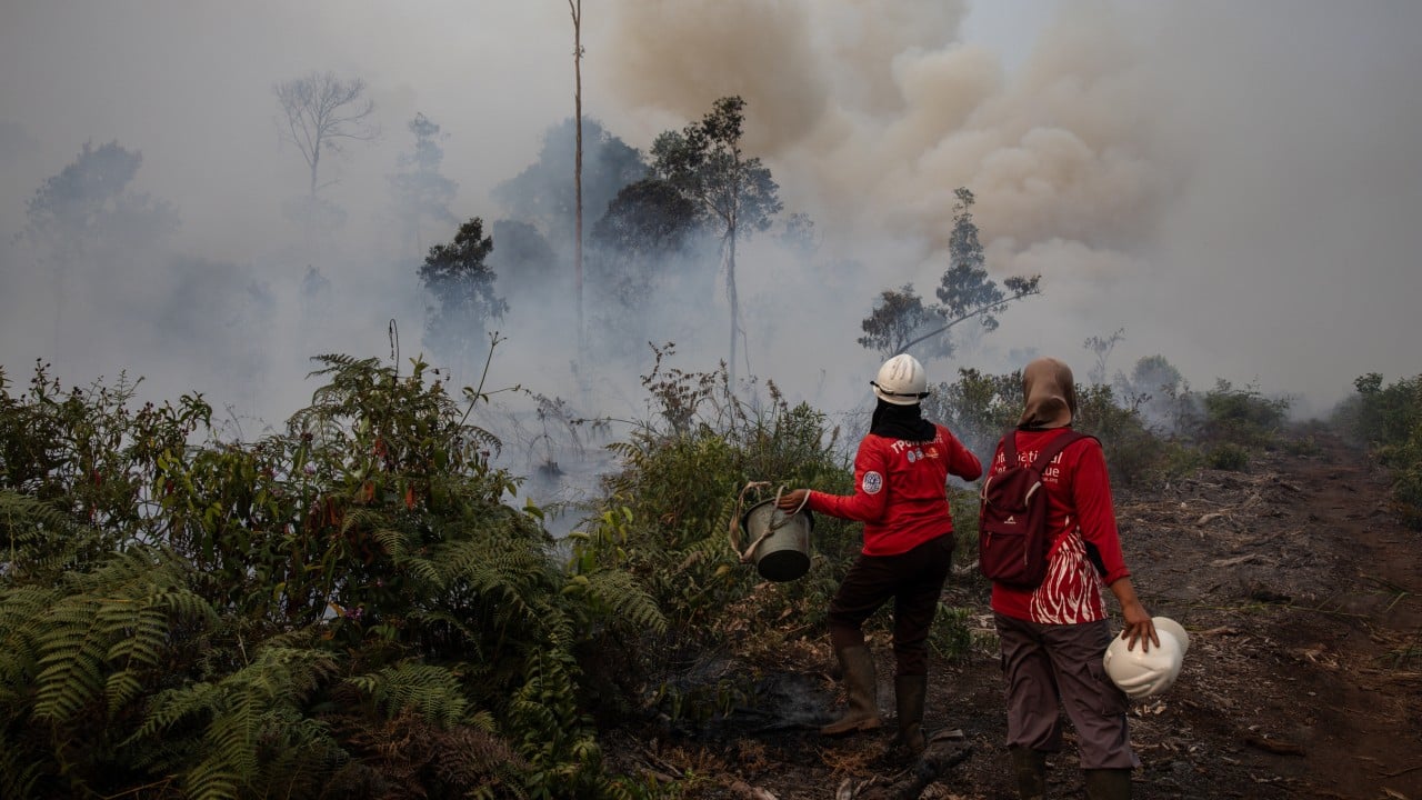 When Indonesia burns, these women run towards the fire