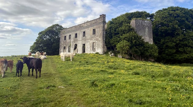 Building tycoon Maurice Regan buys Meath castle that was former home of Duke of Wellington