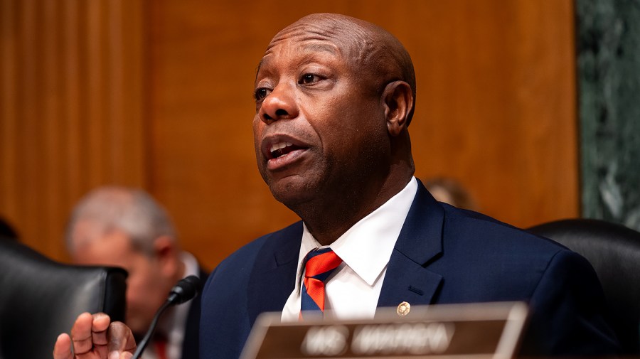 Tim Scott, NRSC chair, backs Graham for South Carolina Senate seat