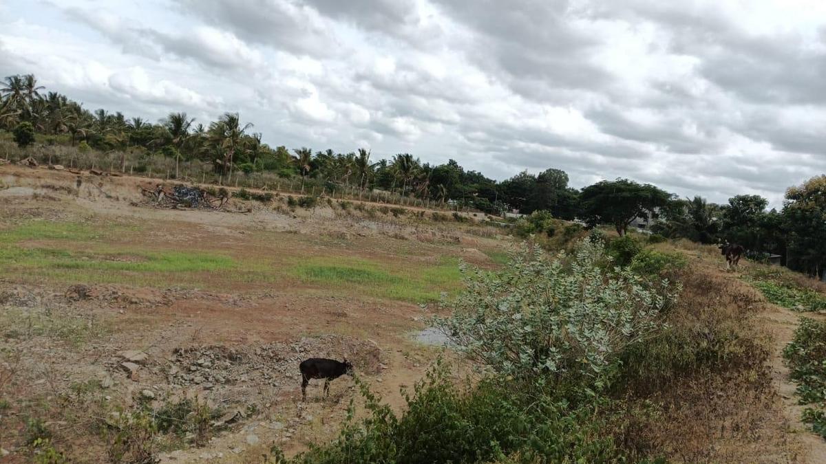 Water crisis deepens in drought-hit Thalavadi hills