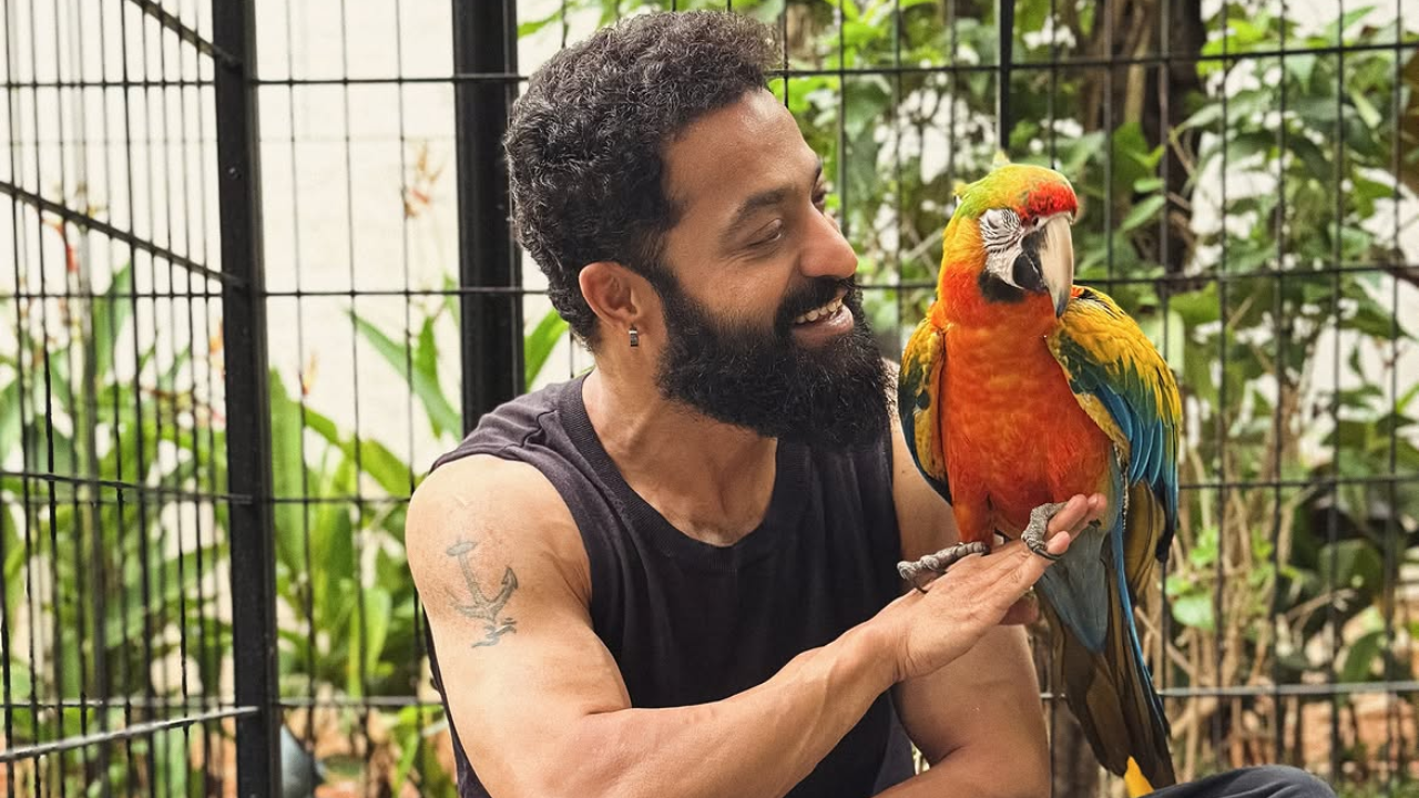 Jr NTR thanks fans after successful surgery: ‘I’m doing well’